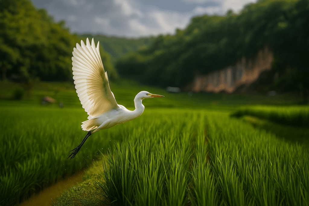 Visual wisata agro di bandung menangkap capung, kecebong, keong sawah, menunjukkan biodiversitas pengendali hama alami dalam ekosistem pertanian berkelanjutan modern.